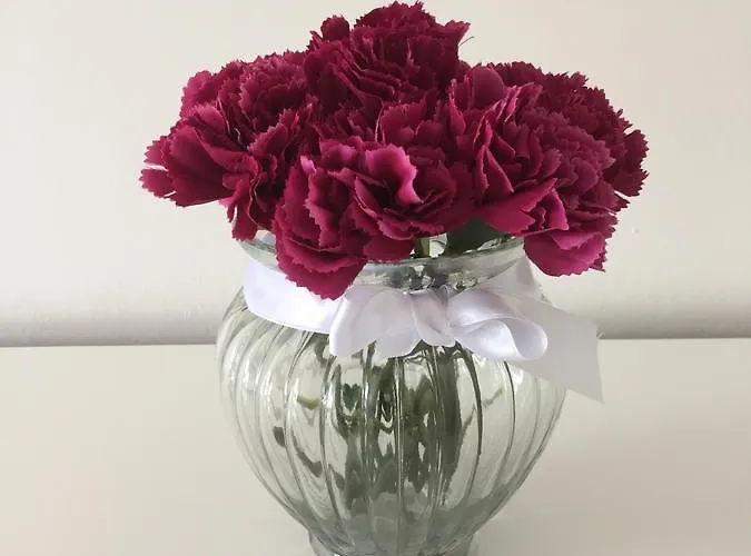 Cassiopeia Apartamento