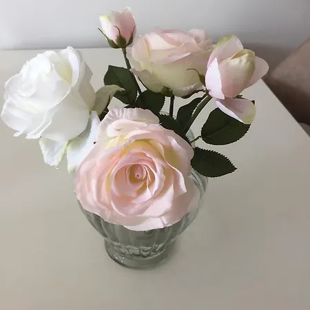 Cassiopeia Apartament Tirana