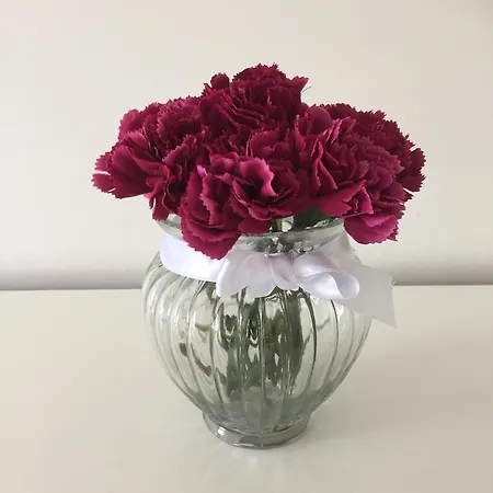 Cassiopeia Apartament Appartement